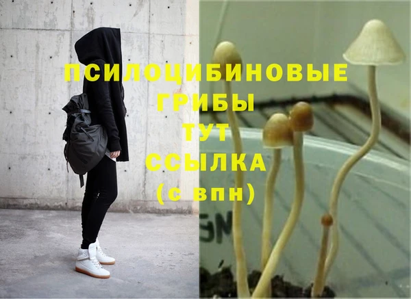 jwh Богородск