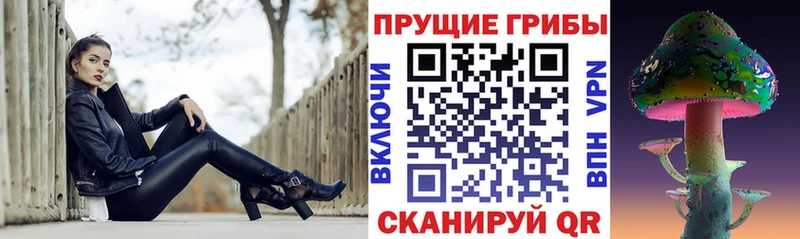 Галлюциногенные грибы GOLDEN TEACHER Дальнереченск